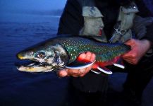  Foto de Pesca con Mosca de Dolly Varden compartida por Luke Metherell – Fly dreamers