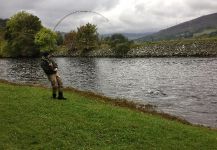 Grilse Fly-fishing Situation – Tomas Kolesinskas shared this Image in Fly dreamers 