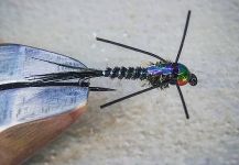  Foto de Atado de moscas para Trucha arcoiris compartida por Pablo Bianchini | Fly dreamers