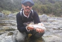  Trucha arcoiris – Situación de Pesca con Mosca – Por NICOLAS MONGE
