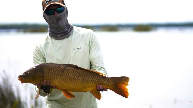 Carp Fly Fishing - A Talk with Expert Dan Frasier - Articles