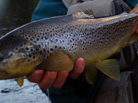 Foto de pesca con mosca