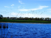 Foto de pesca con mosca