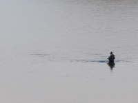 Foto de pesca con mosca