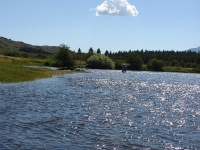 Foto de pesca con mosca