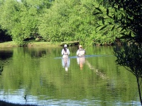 Foto de pesca con mosca