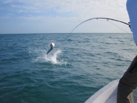 Foto de pesca con mosca