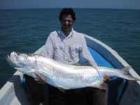 Foto de pesca con mosca