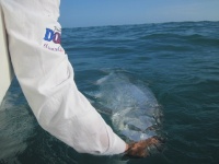 Foto de pesca con mosca