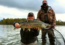 Chum Salmon