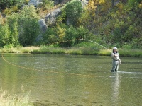 Foto de pesca con mosca