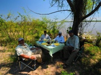 Fly fishing picture