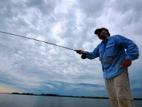 Fly fishing picture