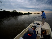 Fly fishing picture