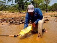 Fly fishing picture