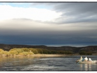 Foto de pesca con mosca