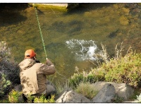 Foto de pesca con mosca