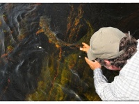 Foto de pesca con mosca