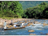 Foto de pesca con mosca