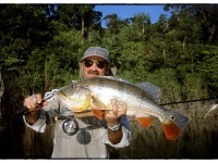 Foto de pesca con mosca