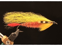 Foto de pesca con mosca