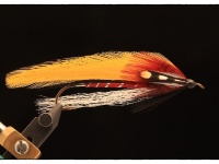 Foto de pesca con mosca