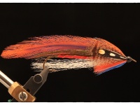 Foto de pesca con mosca