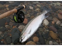 Foto de pesca con mosca