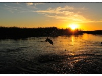 Foto de pesca con mosca