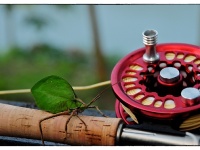 Foto de pesca con mosca