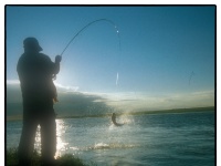 Foto de pesca con mosca