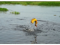 Foto de pesca con mosca
