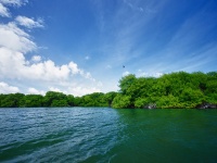 Fly fishing picture