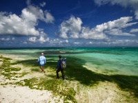 Fly fishing picture