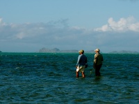 Fly fishing picture