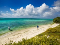 Fly fishing picture