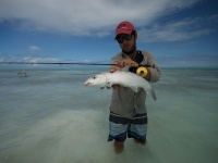 Fly fishing picture