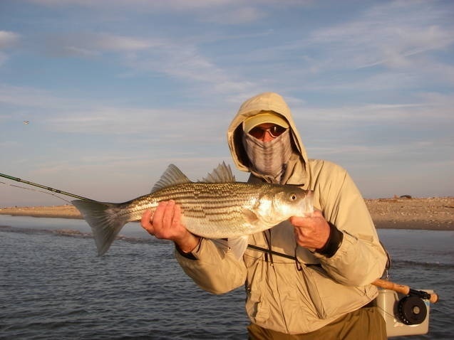 Nice school striper taken on a Clouser.
