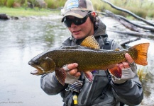 Luciano Saldise 's Fly-fishing Pic of a Brook trout – Fly dreamers 