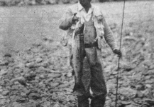 El salmón que remonta