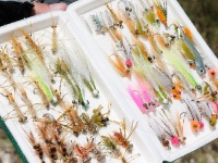 Foto de pesca con mosca