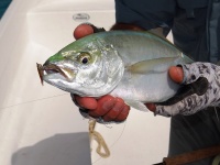 Foto de pesca con mosca