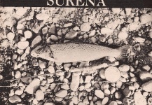 De la temporada sureña - Después de truchear