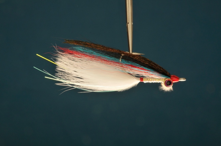 Zambezi Clouser