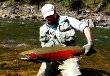 Pescando steelheads