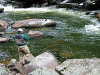 Foto de pesca con mosca