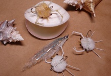 Calvo Crab Fly