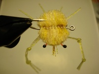 Foto de pesca con mosca