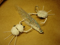 Foto de pesca con mosca