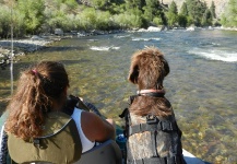 Impressive Fly-fishing Situation Pic by Link Jackson 